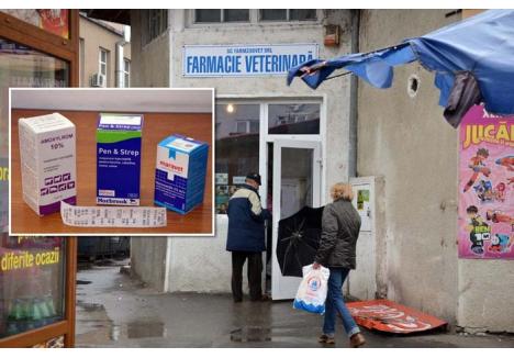 LA LIBER. România e singura ţară din UE unde medicamentele de uz veterinar se vând "la liber". Reporterul BIHOREANULUI a cumpărat de la farmacia din Piaţa Cetate antibiotice care, după lege, ar trebui prescrise şi administrate doar de medicul veterinar. Mai mult, dacă în farmaciile umane antibioticele se eliberează doar pe reţetă, aici se dau fără şi cele pentru uz uman, inclusiv penicilină